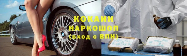 сатива Абаза