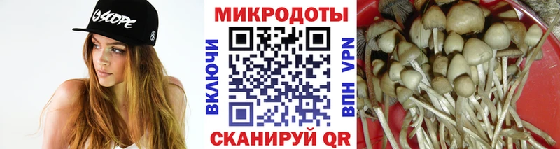 где продают   Задонск  Галлюциногенные грибы мухоморы 